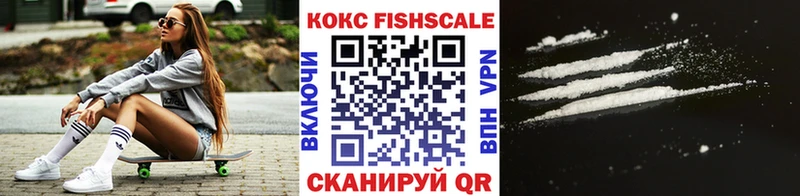 COCAIN Fish Scale  МЕГА вход  Волгореченск 