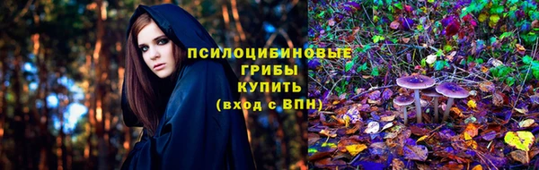 дурь Арсеньев
